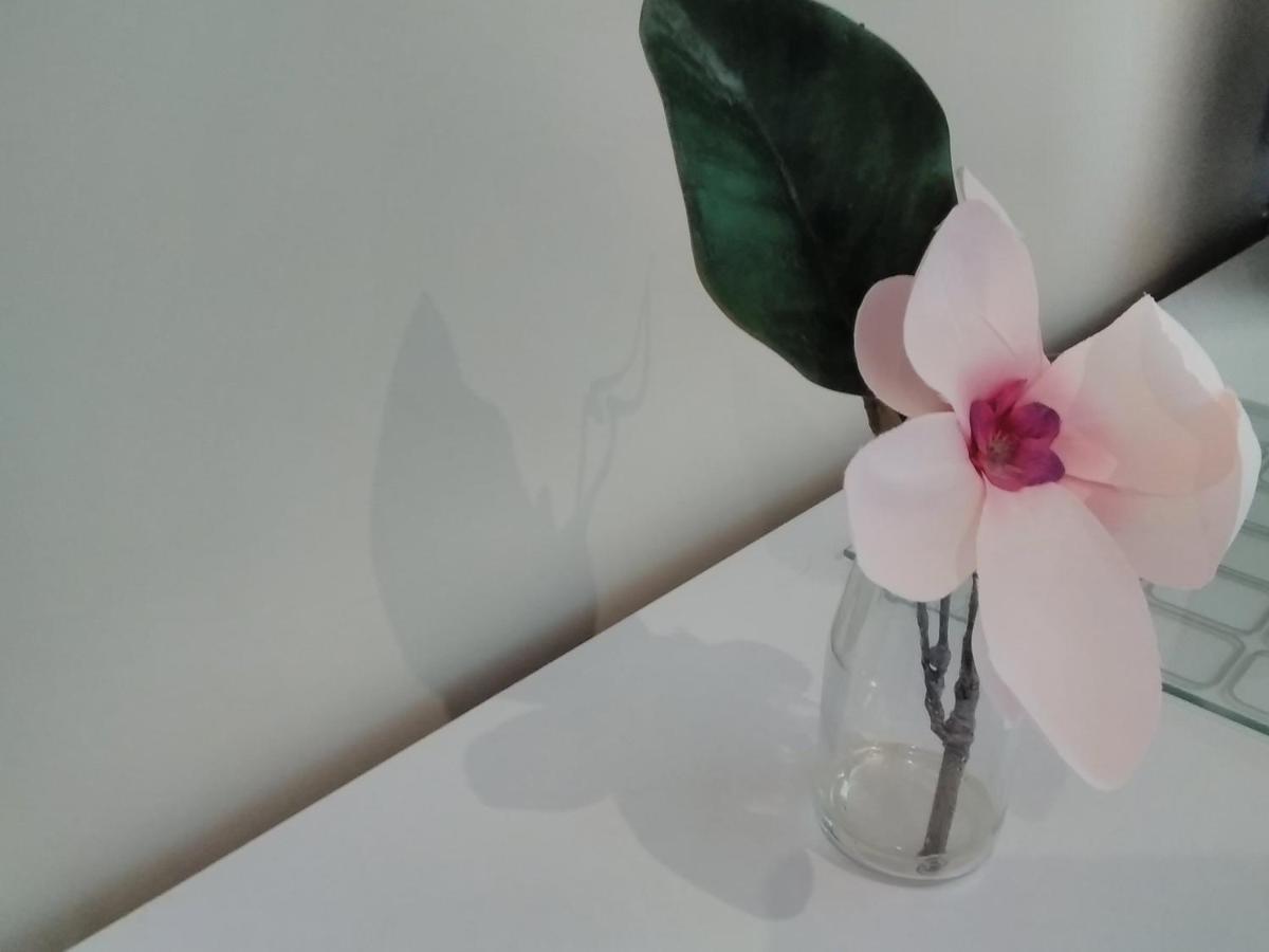 Windermere Studio Rooms - With Free Car Parking Onsite Exteriör bild