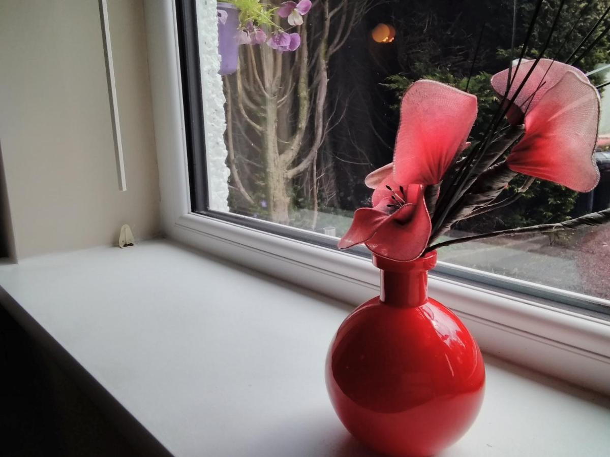 Windermere Studio Rooms - With Free Car Parking Onsite Exteriör bild